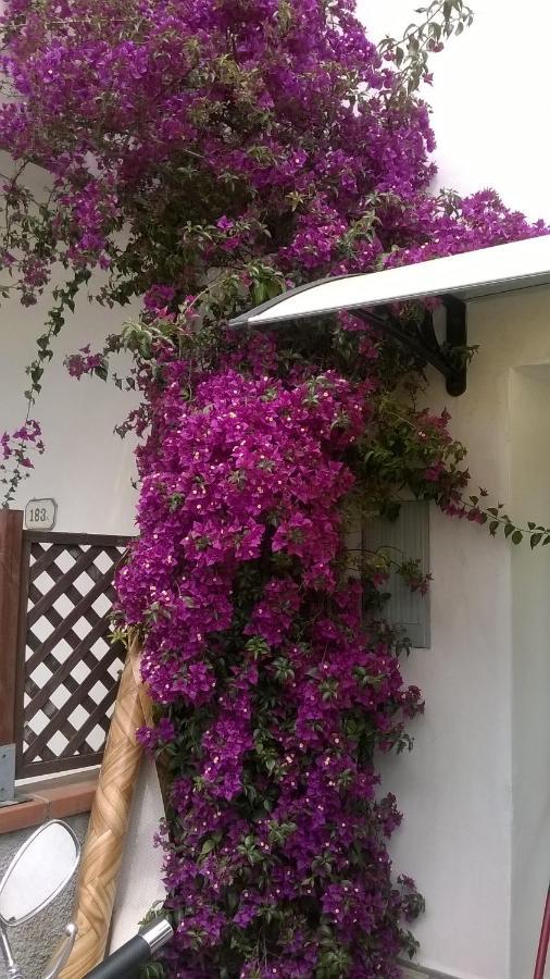 Rainbow House With Garden Viareggio Exterior foto